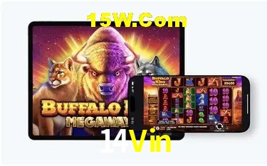 Apostas Esportivas na 14Vin: Um Guia Completo