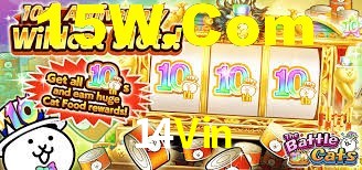 14Vin: A Experiência de Casino com Jogos de Mesa ao Vivo